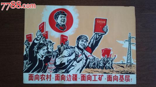 cima证书图片